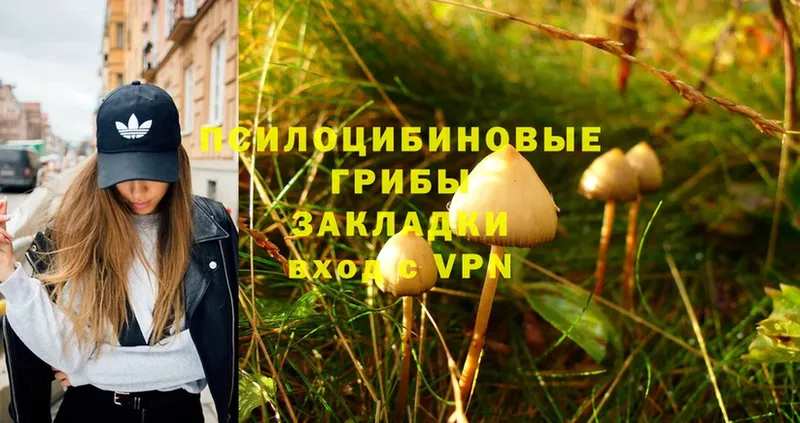 Псилоцибиновые грибы Magic Shrooms  MEGA онион  Красноуфимск 